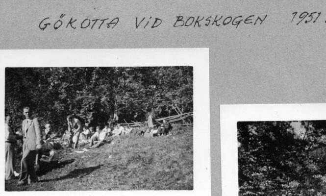 Gökotta vid bokskogen 1951