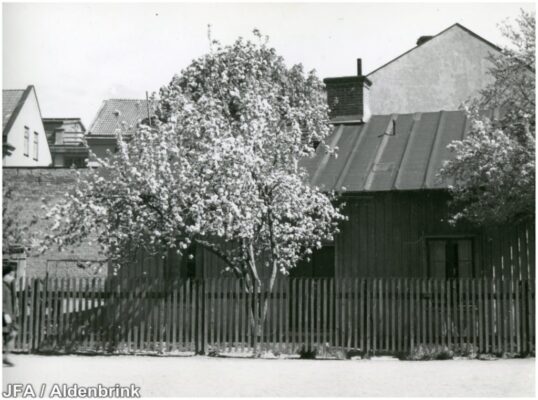 Blommande träd framför ett trähus.