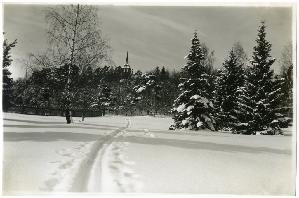 En gång genom snön fram till ett skogsparti bakom vilket ett kyrktorn skymtar.