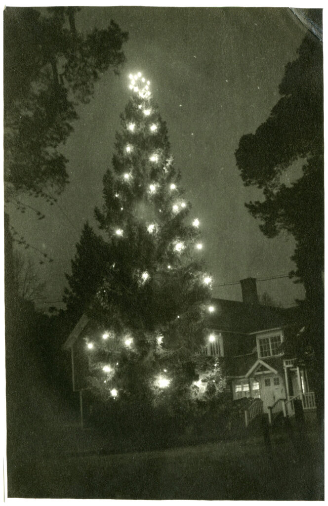 Stor tänd julgran framför trähus.