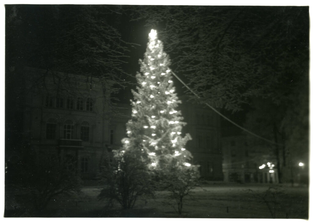 tänd julgran framför rådhuset en mörk natt.