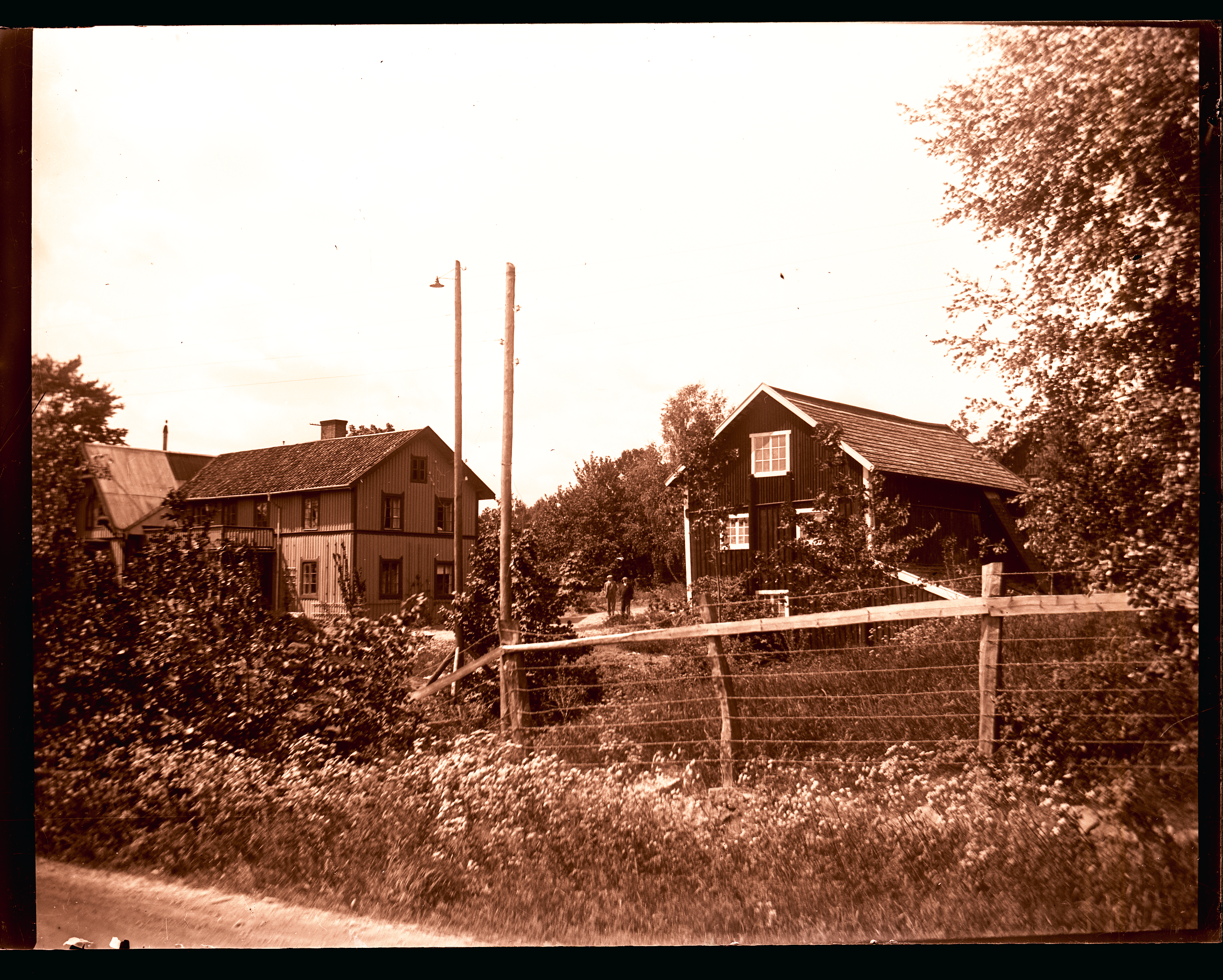 Gammalt foto av hus och vegetation.