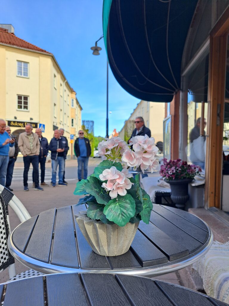 Samling utomhus med pelargon i förgrunden.